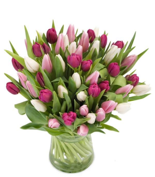 Bont voorjaarstulpen roze