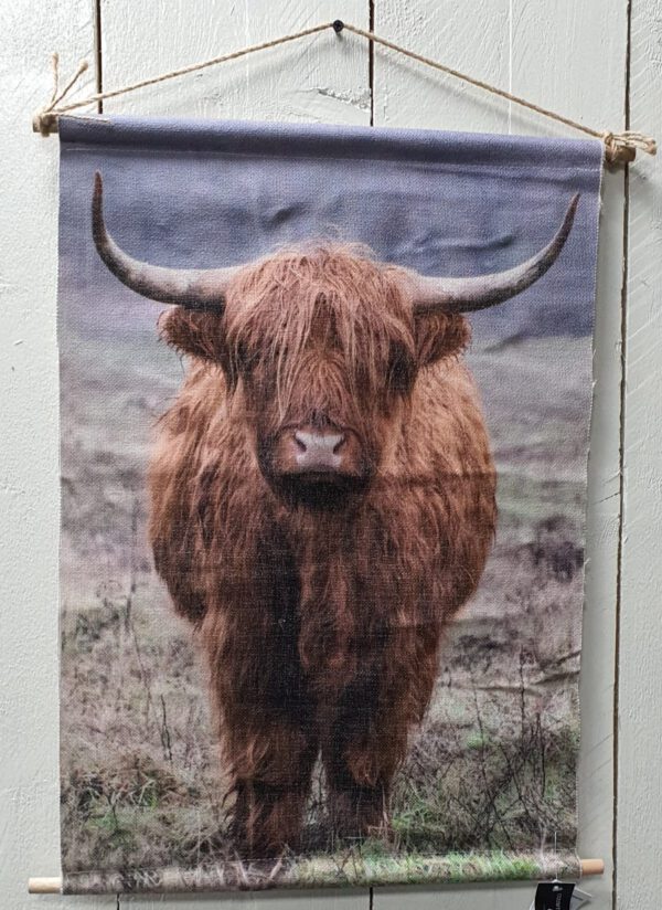 Schotse hooglander op doek