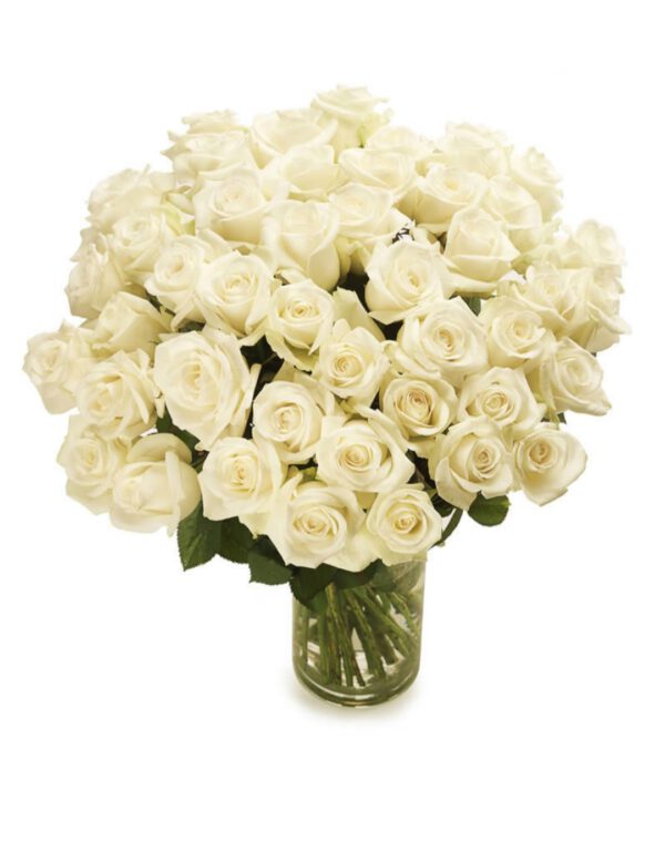 Witte rozen per stuk
